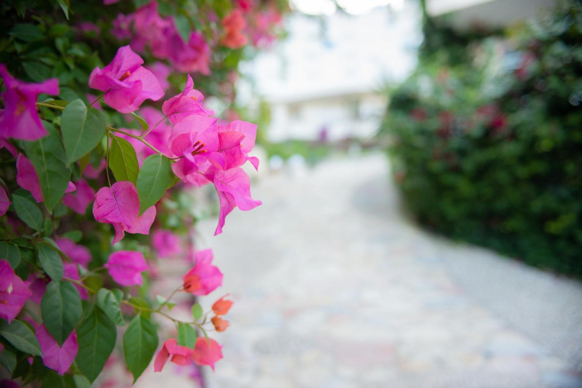 Bougainville Bay Apartments Sarandë Eksteriør bilde
