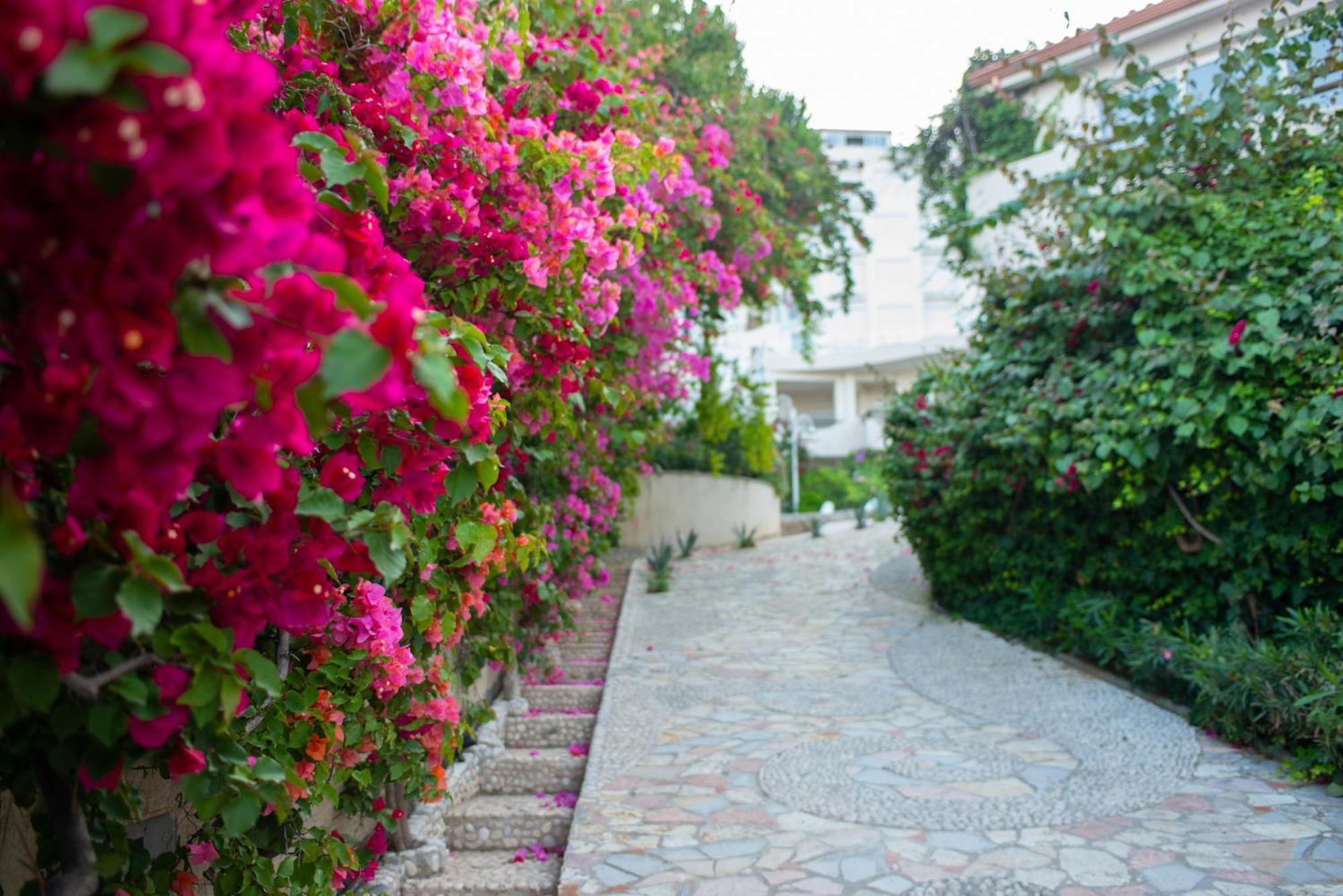 Bougainville Bay Apartments Sarandë Eksteriør bilde